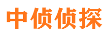 法库市私家侦探